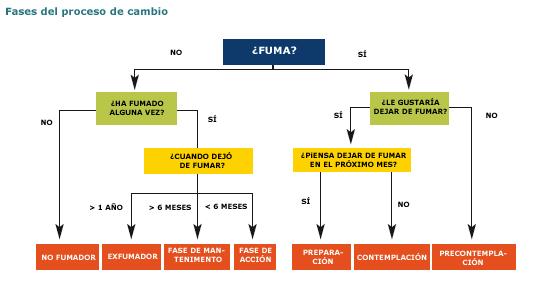 Diferentes etapas de dejar de fumar